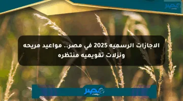 الإجازات الرسمية 2025 في مصر.. مواعيد مريحة ونزلات تقويمية منتظرة